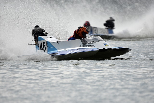 上海不仅为 上海不仅为