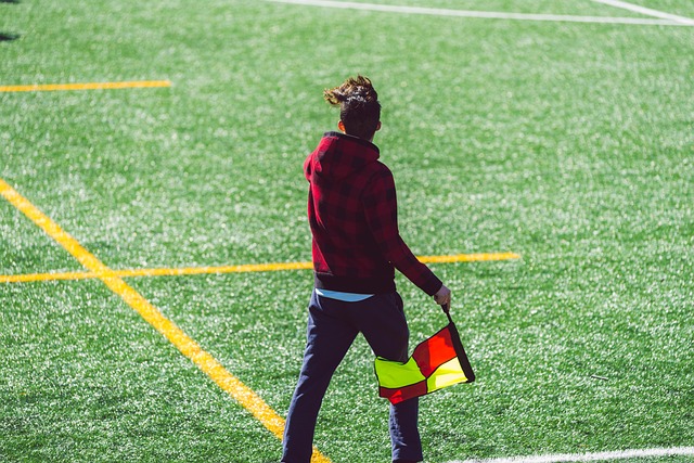 的自由球員 的自由球員